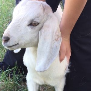 Meet your Posher, Debra